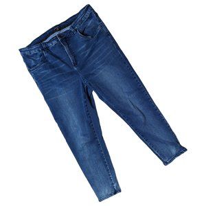 Universal Standard Seine Distressed Blue High Rise Stretch Skinny Jeans 18